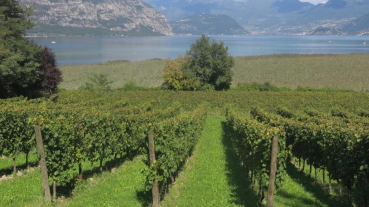 Appartamento Seminterrato Villa Sveva Franciacorta Ome Exterior photo